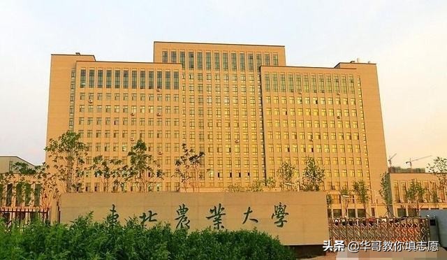 黑龙江的985和211高校,211的大学在黑龙江省的录取分数线