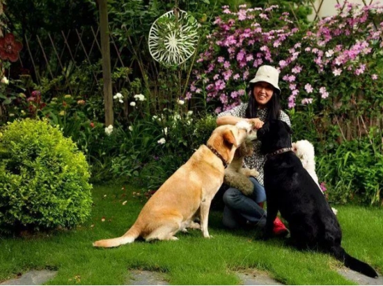 她40岁退休隐居,她40岁退休隐居无儿无女