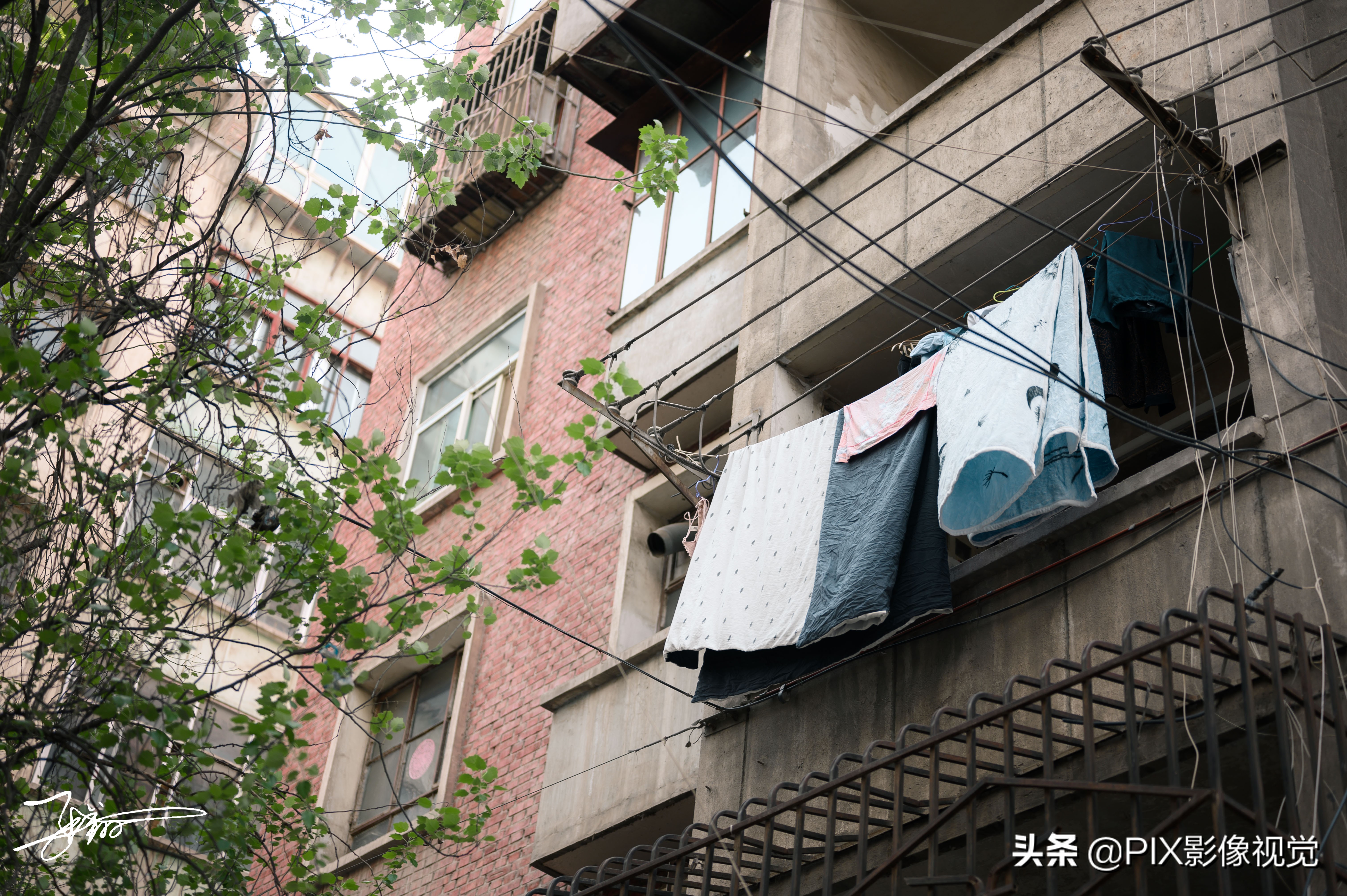 尼康z50高级感视频,尼康z50大光圈国产镜头推荐