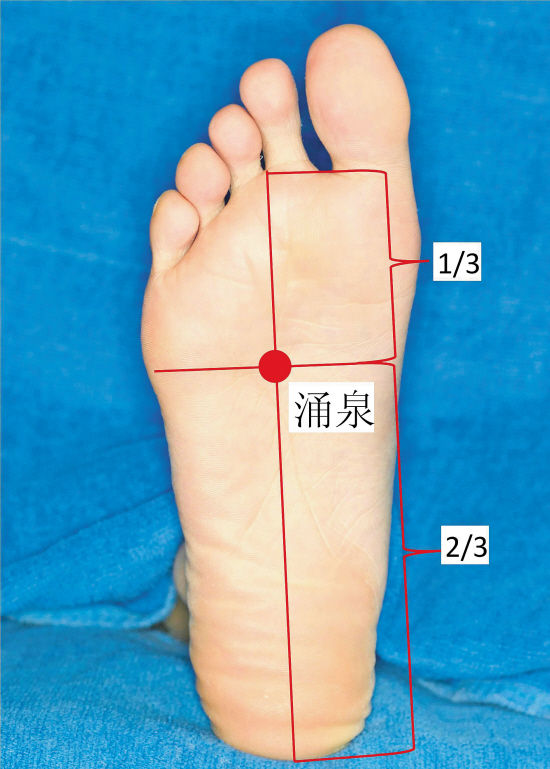 脾虚下肢酸沉,下肢经常酸沉是怎么回事