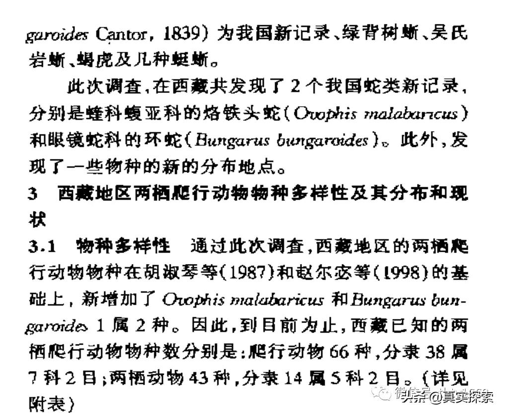 雅鲁藏布江大峡谷秘密,雅鲁藏布江大峡谷大瀑布