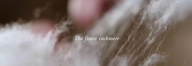 鍖呯鏃ヨ鍏ㄩ泦瑙h,鍖呯鏃ヨ鎺ㄨ崘