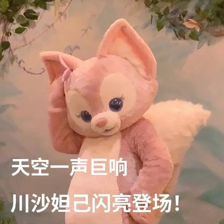 迪士尼川沙妲己周边价格,上海迪士尼门票暴涨350%