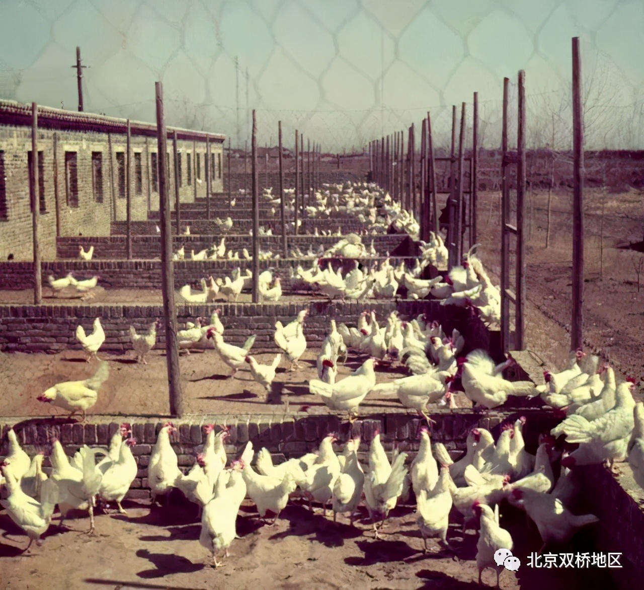 从古代到现在双桥从版图中心点看历史演变路线图