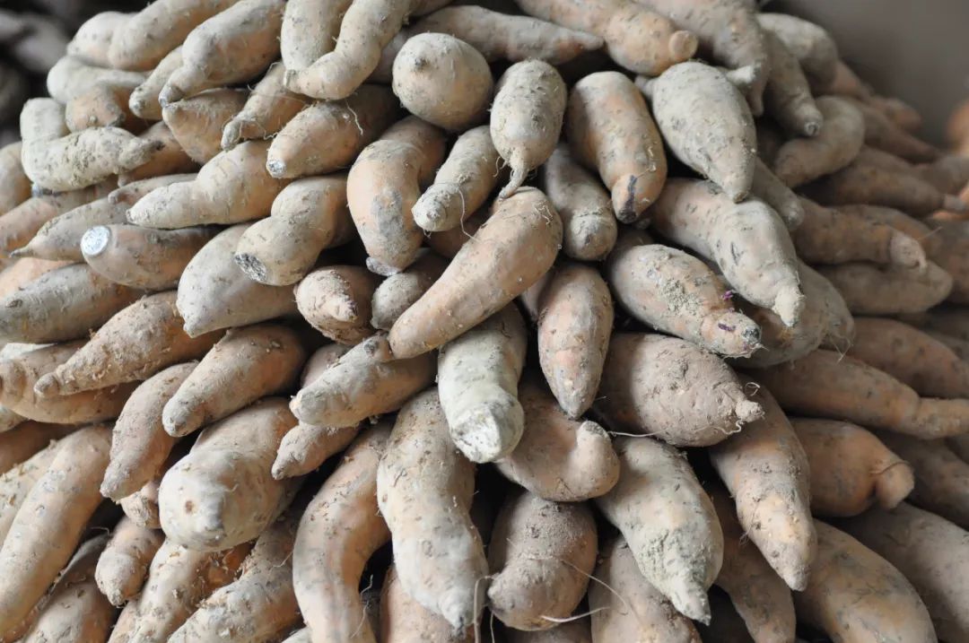 舌尖上的古城建水味道,建水美食百年老店