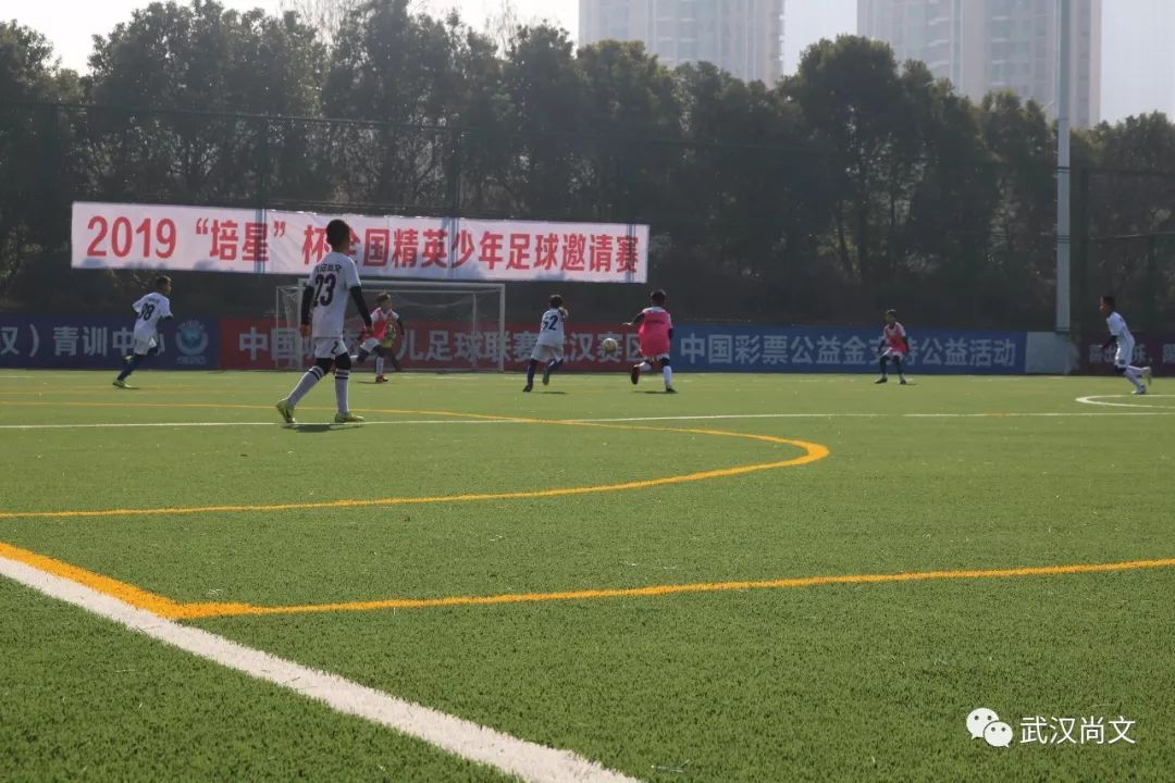 2020青训杯全国青少年足球冠军赛,2019育星杯比赛