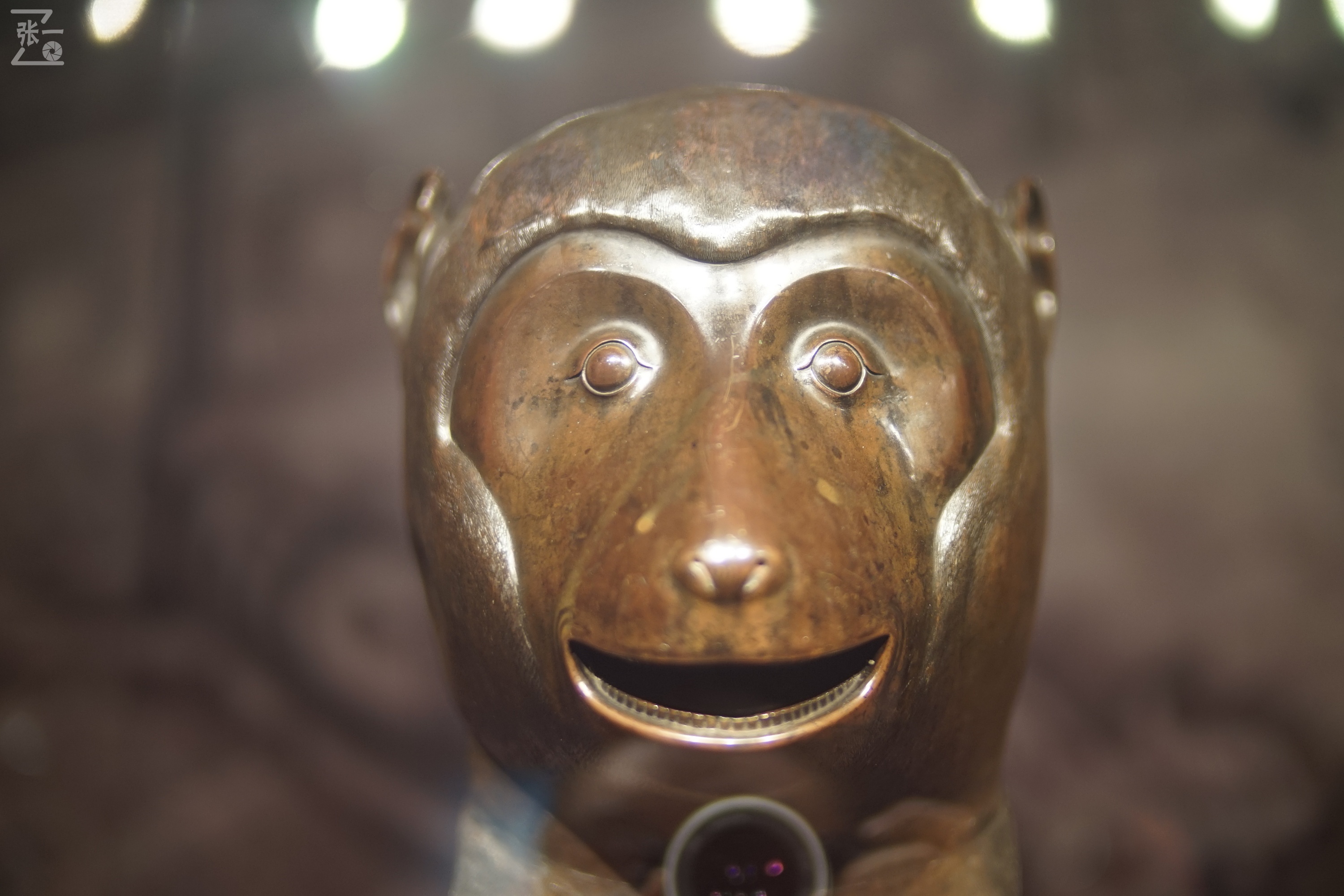 中国产微单,24-135镜头索尼