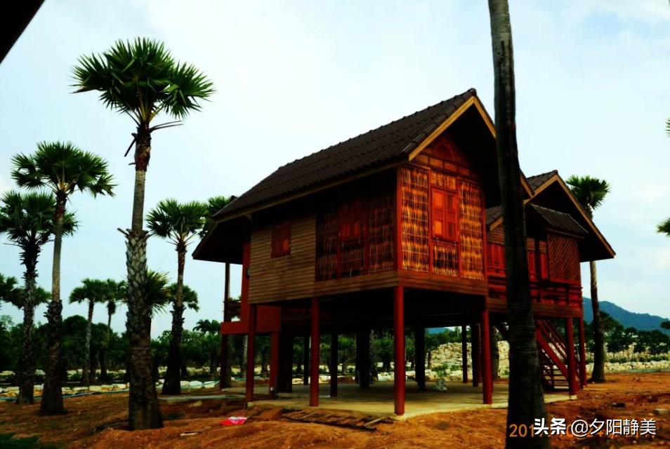 泰国芭提雅东芭乐园视频,芭提雅东芭乐园游玩攻略