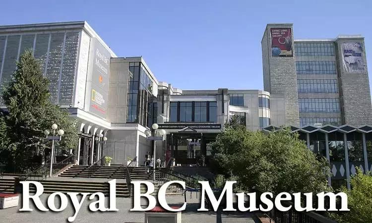 维多利亚国际排行,维多利亚城市风光