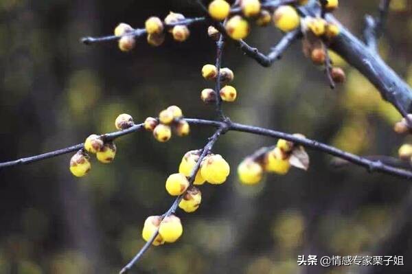 一心装着前女友的男人,最好不要嫁