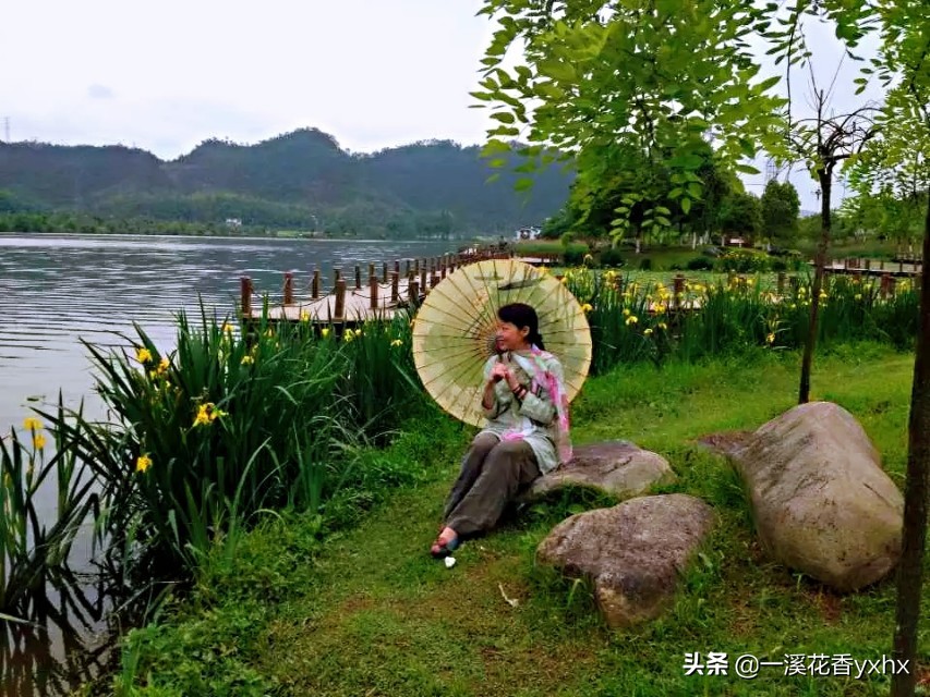 春风又绿江南岸风景,春风又绿江南岸风景图片