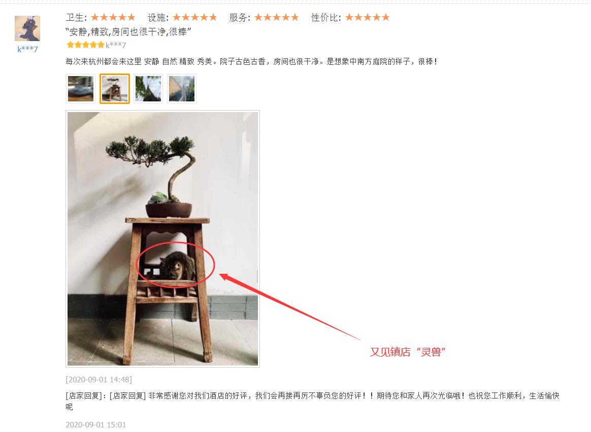 鏋楁爾鍝佽缁忓吀璇綍,娴庡畞鏋楁爾鍚村北灏忛櫌