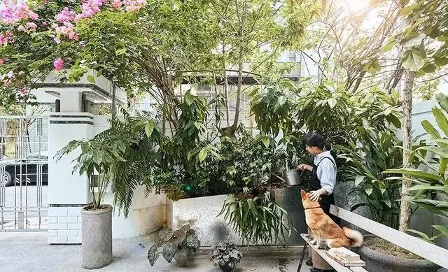 9平米花店,有4间铺面开花店怎样设计