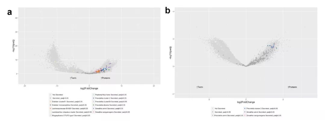 iHMP第二弹|阴道微生物与早产