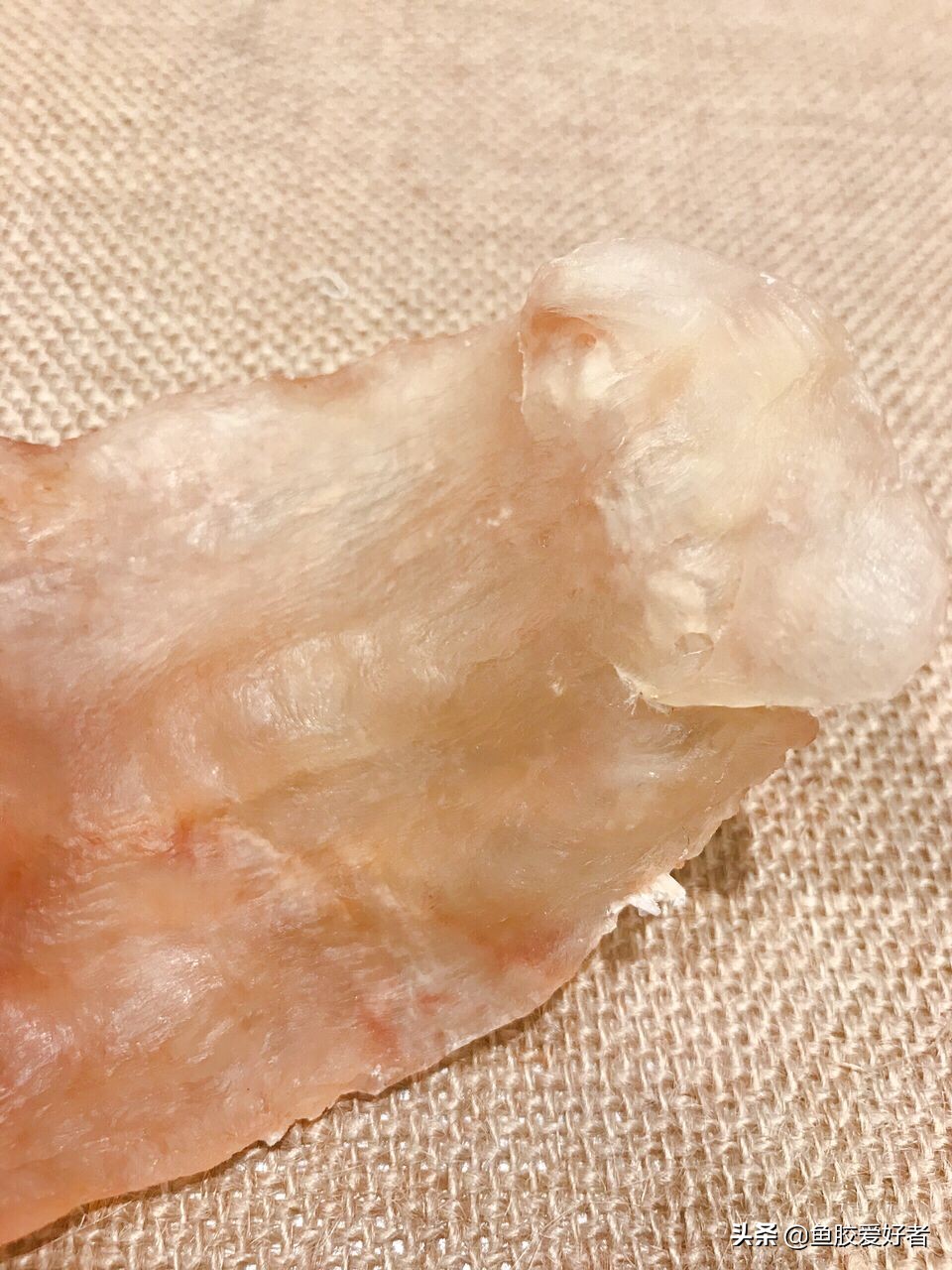 5年的花胶,5年以上的黄花胶