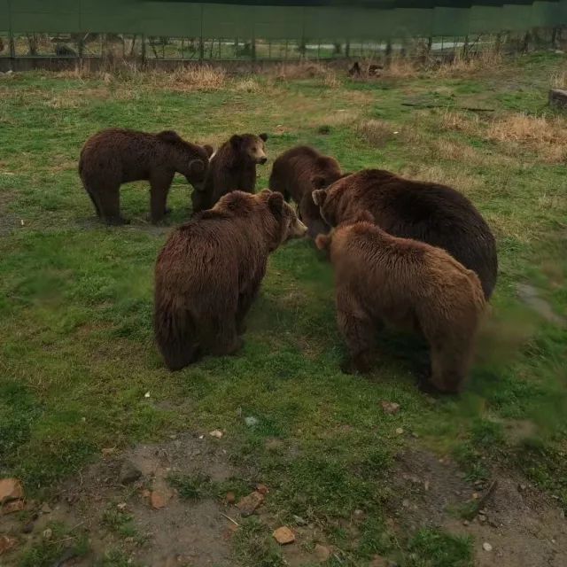 在上海迪士尼怎么玩比较快呢,在上海迪士尼玩一整天