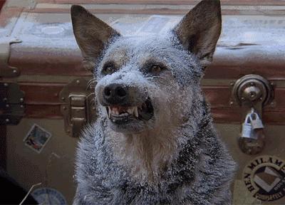 冷空气来袭襄阳,襄阳强冷空气最新消息