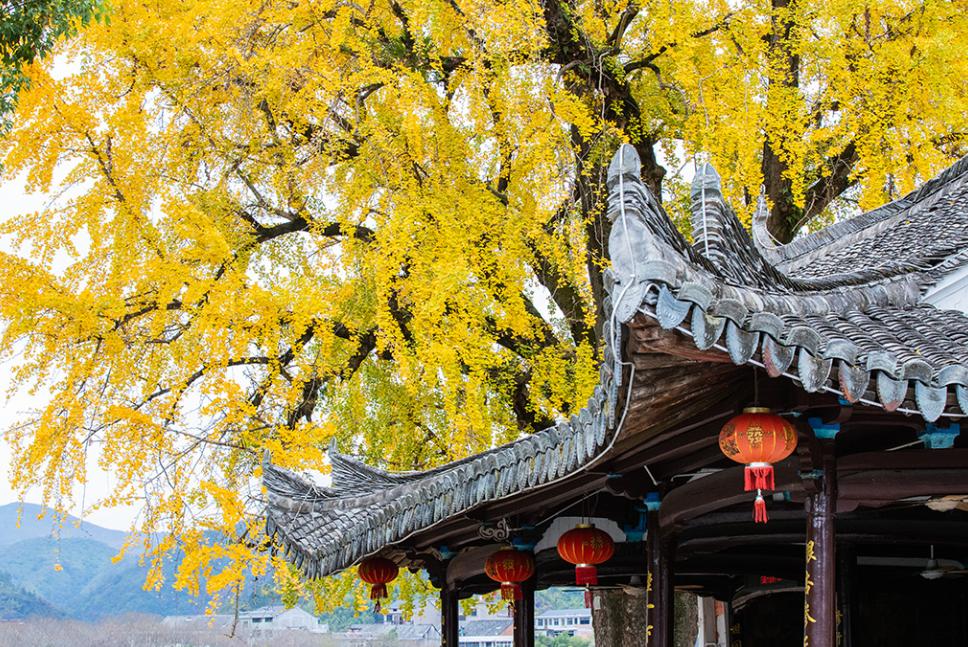 白泉古村,白泉附近的古村