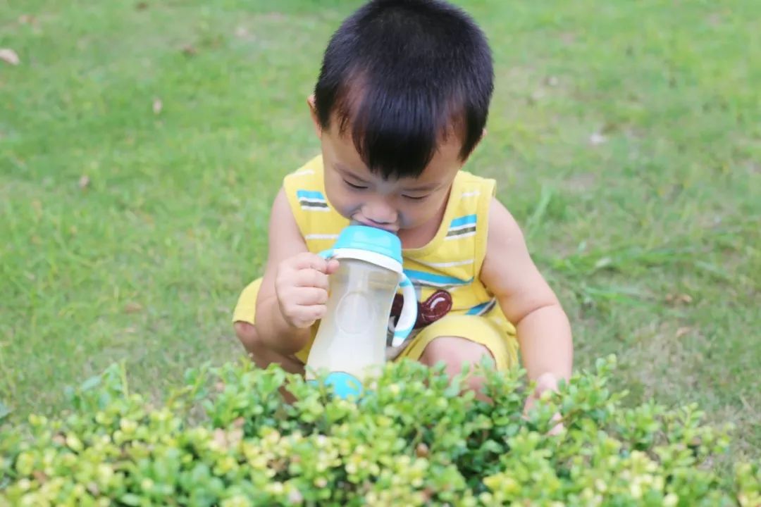 宝宝有机口粮推荐,回购奶粉口粮文案