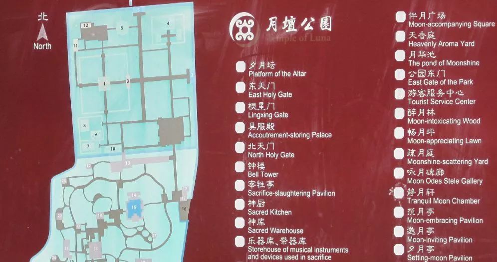 月坛银杏,月坛公园有银杏吗