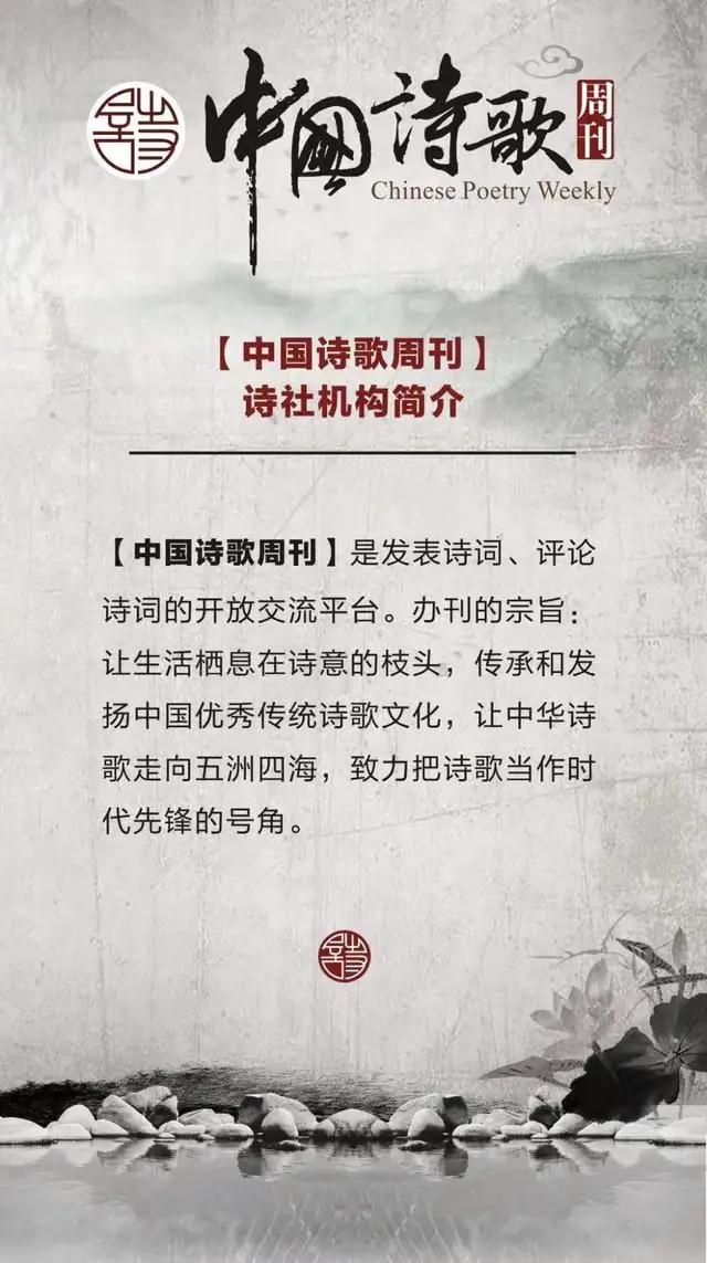 中国诗歌周刊第24集,中国诗歌第1266期完整版