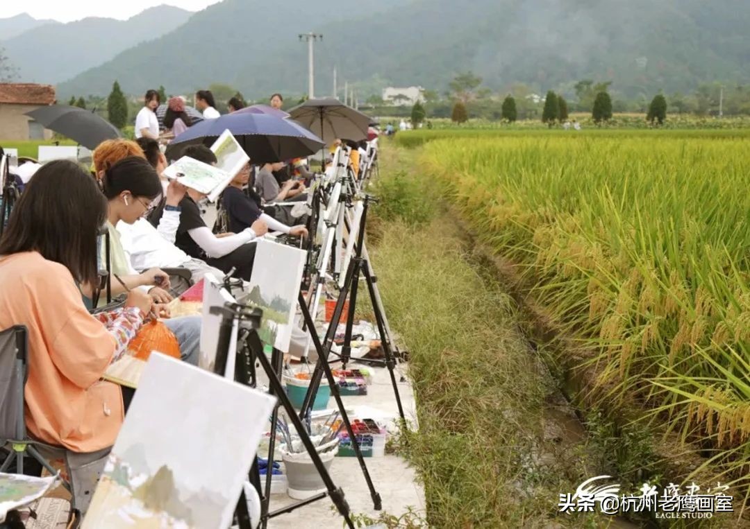 老鹰画室2019招生简章,不是所有的选择都能选择