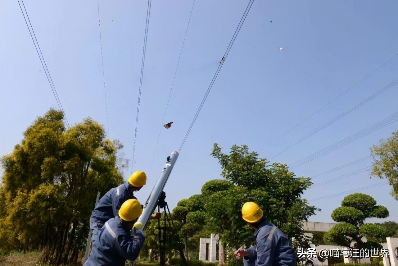 如何实现优雅地砍树?来,抬出我的*四代第**“激光大炮”