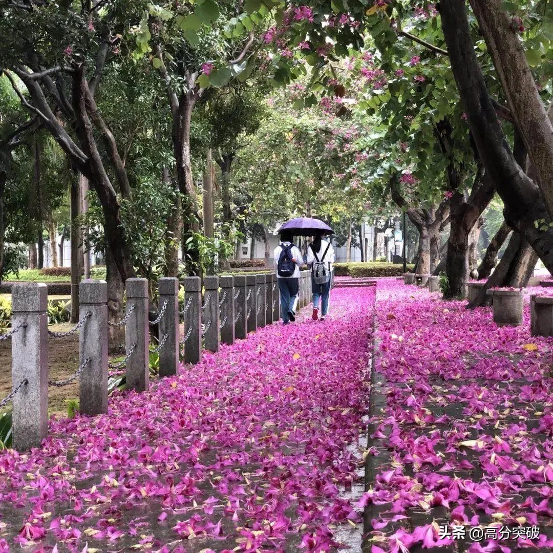 开学复课进行时,开学季告别暑假回归校园