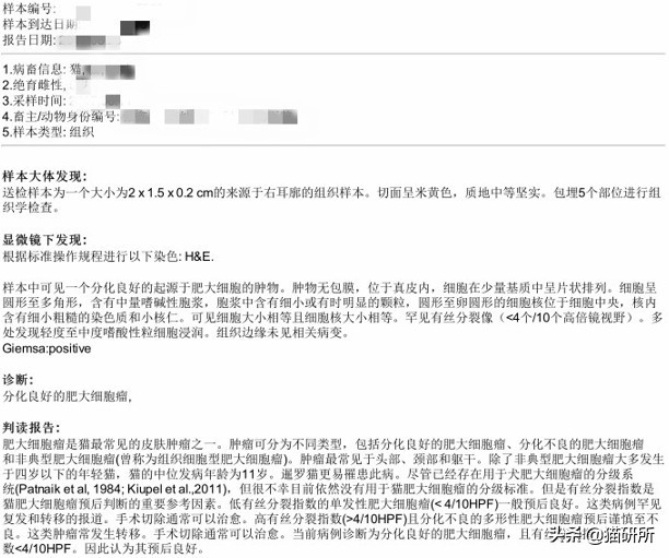 猫咪身上长包包怎么办,猫咪的面部神情跟铲屎官有关系