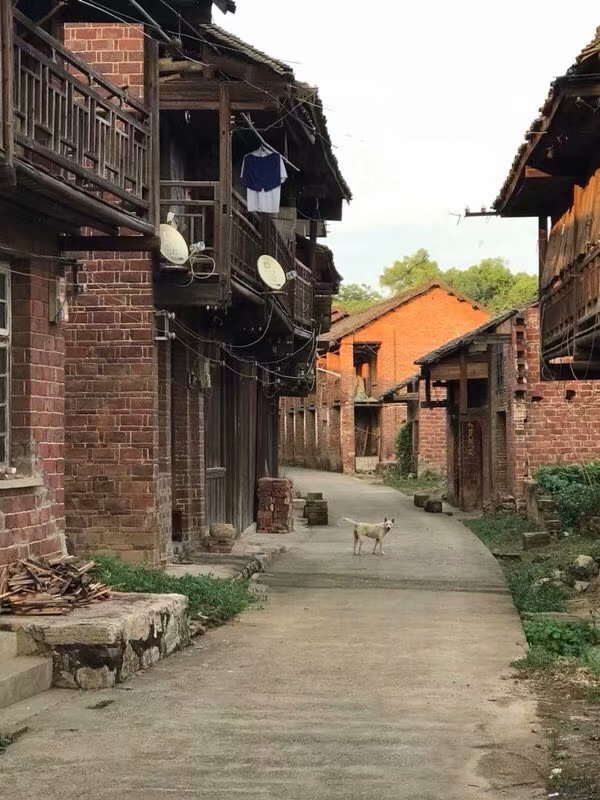 黄阳堡，那斑驳的旧墙，破败的老屋，似乎在坚守那千年不变的传承