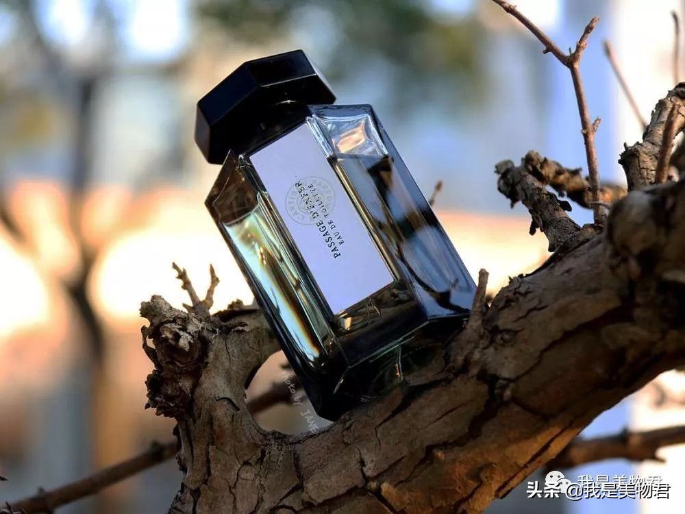这几款香水值得入手,超诱惑好闻香水