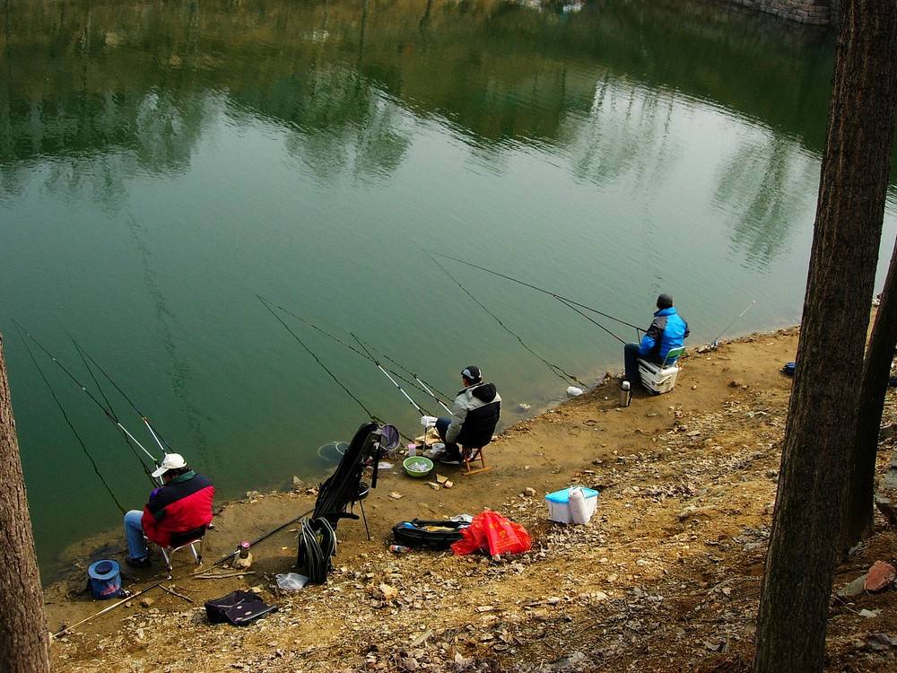 窝里有鱼不咬钩怎么解决,明明有鱼就是不咬口怎么办