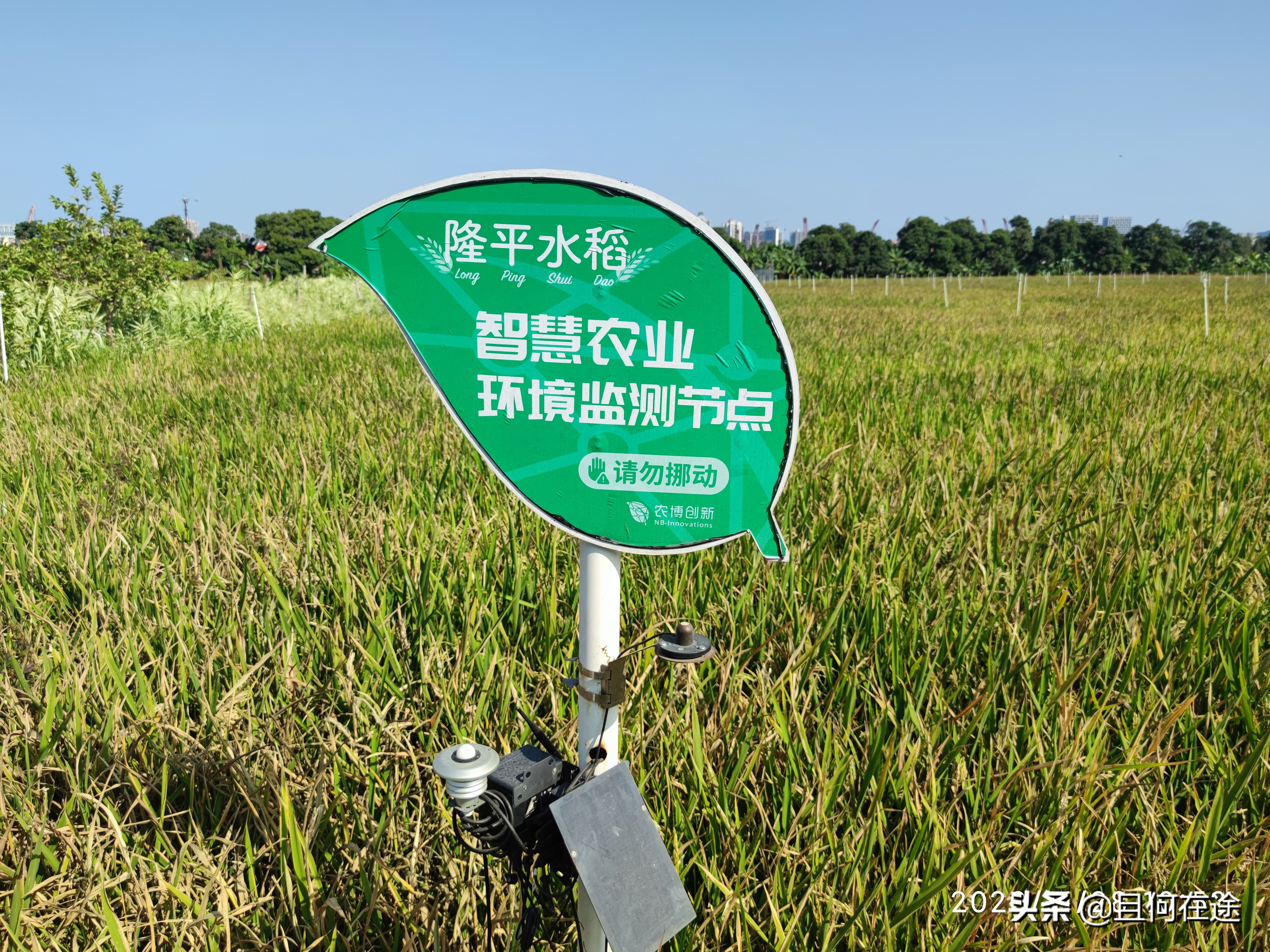 为什么要把饭碗牢牢端在自己手中,怎样才能把自己饭碗端在自己手里