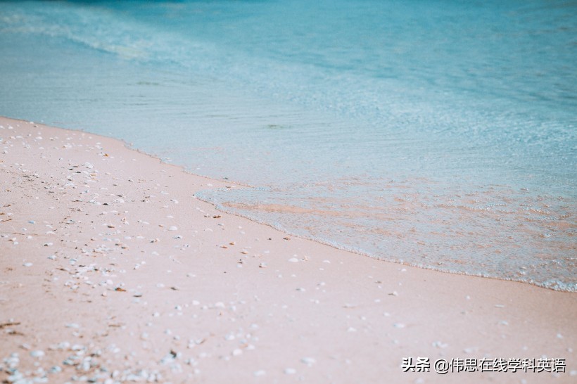 我国幼儿教育的目的,我国幼儿教育的基本出发点是