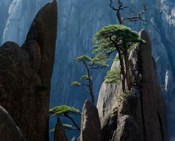 从上海到合肥有哪些自驾游景点,合肥到黄山周边自驾游推荐景点