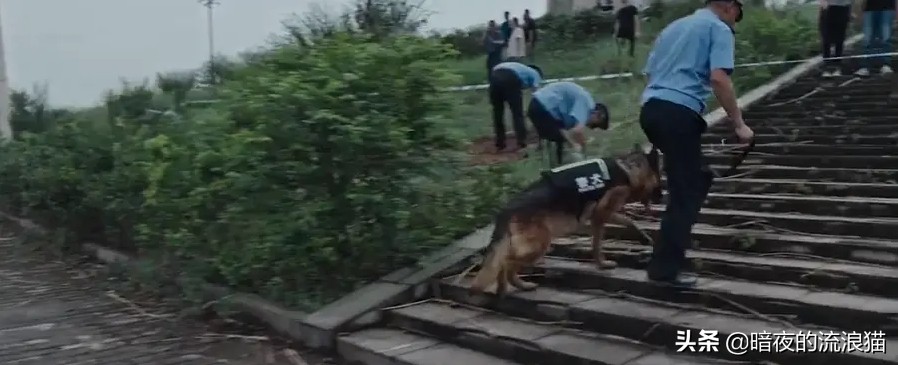 沉默的真相看完直接崩溃,沉默的真相看完之后好心寒