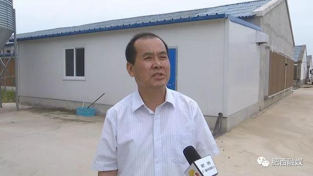 「壮丽70年奋斗新时代」肥西县农业农村局高级畜牧师董辉：开拓创新助推标准化养殖