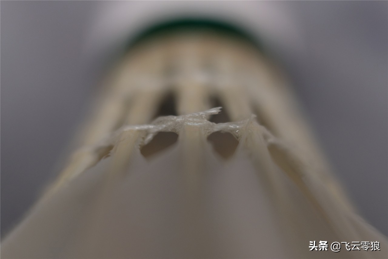 「中羽在线飞云零狼」威羽斯钻一钻二钻五评测——高性价比鹅毛球