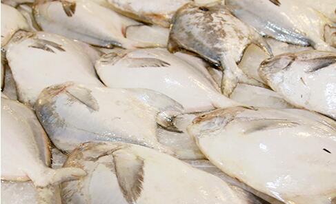 舟山海鲜年夜饭礼包,舟山黄鱼年夜饭做法