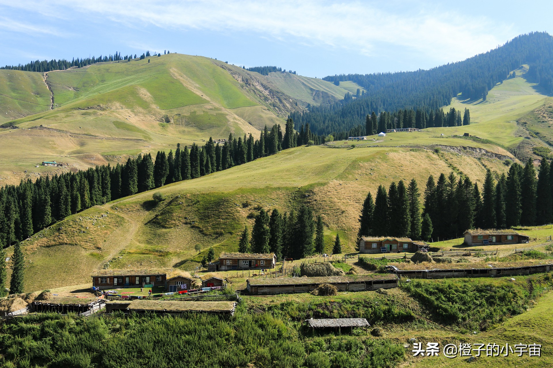 怀念琼库什台的羊毛被