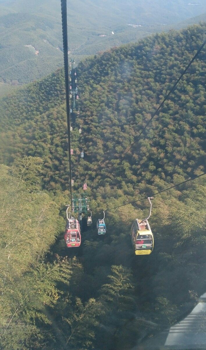 风景秀丽的宜兴竹海,漫步竹林呼吸大自然的清新