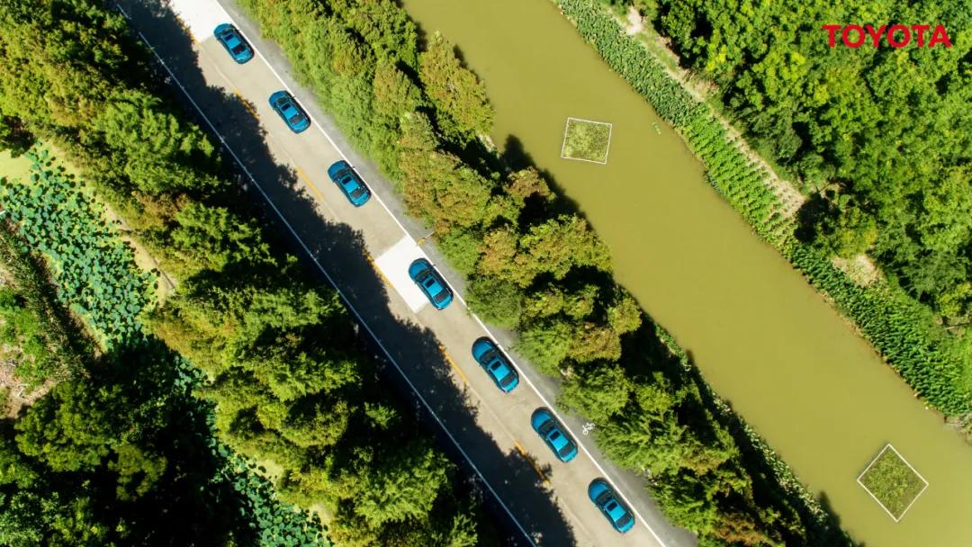 丰田hev哪款车最好,丰田hev车型中国销量