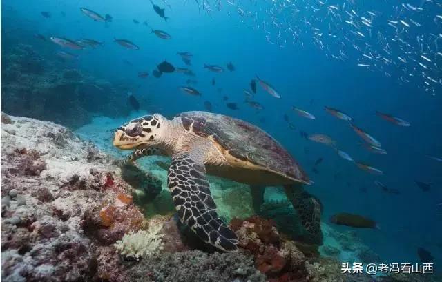 什么文玩不能碰手,这几样文玩千万不要碰