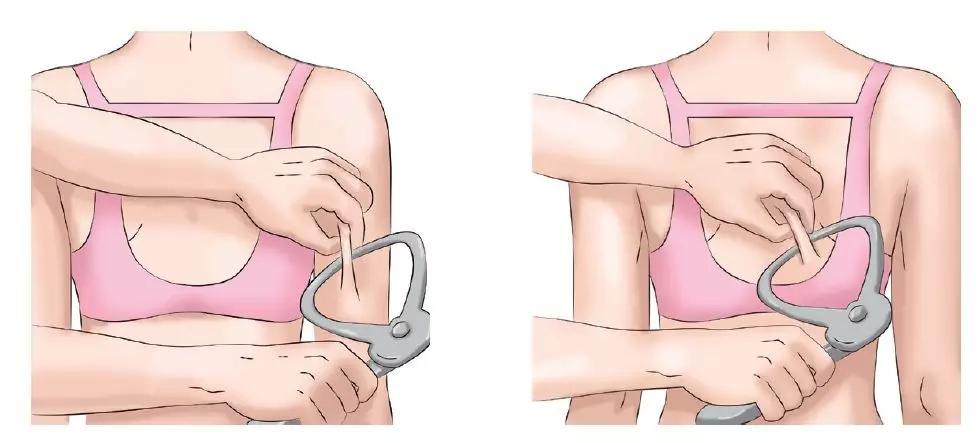 苏新皓自测体脂率的方法,你的体脂率是多少女性