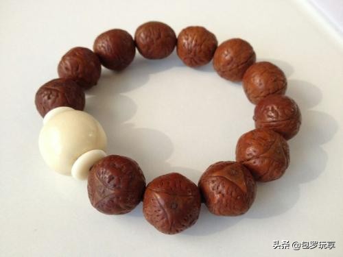 凤眼菩提的由来,凤眼菩提的起源和作用