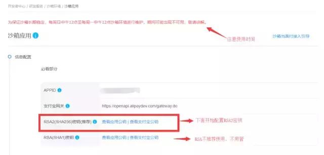 支付宝沙箱支付教程spring,简述支付宝支付接口的同步回调