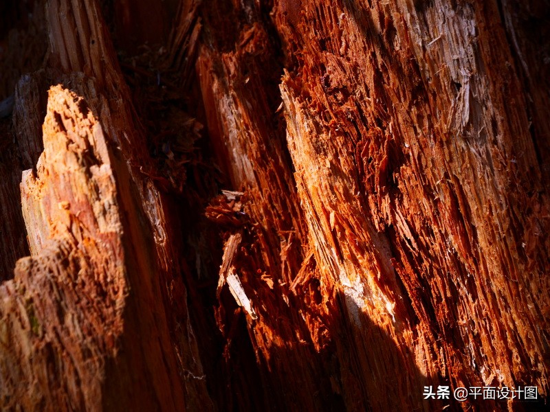 松下lumixg9测评,松下lumixgx9使用感受