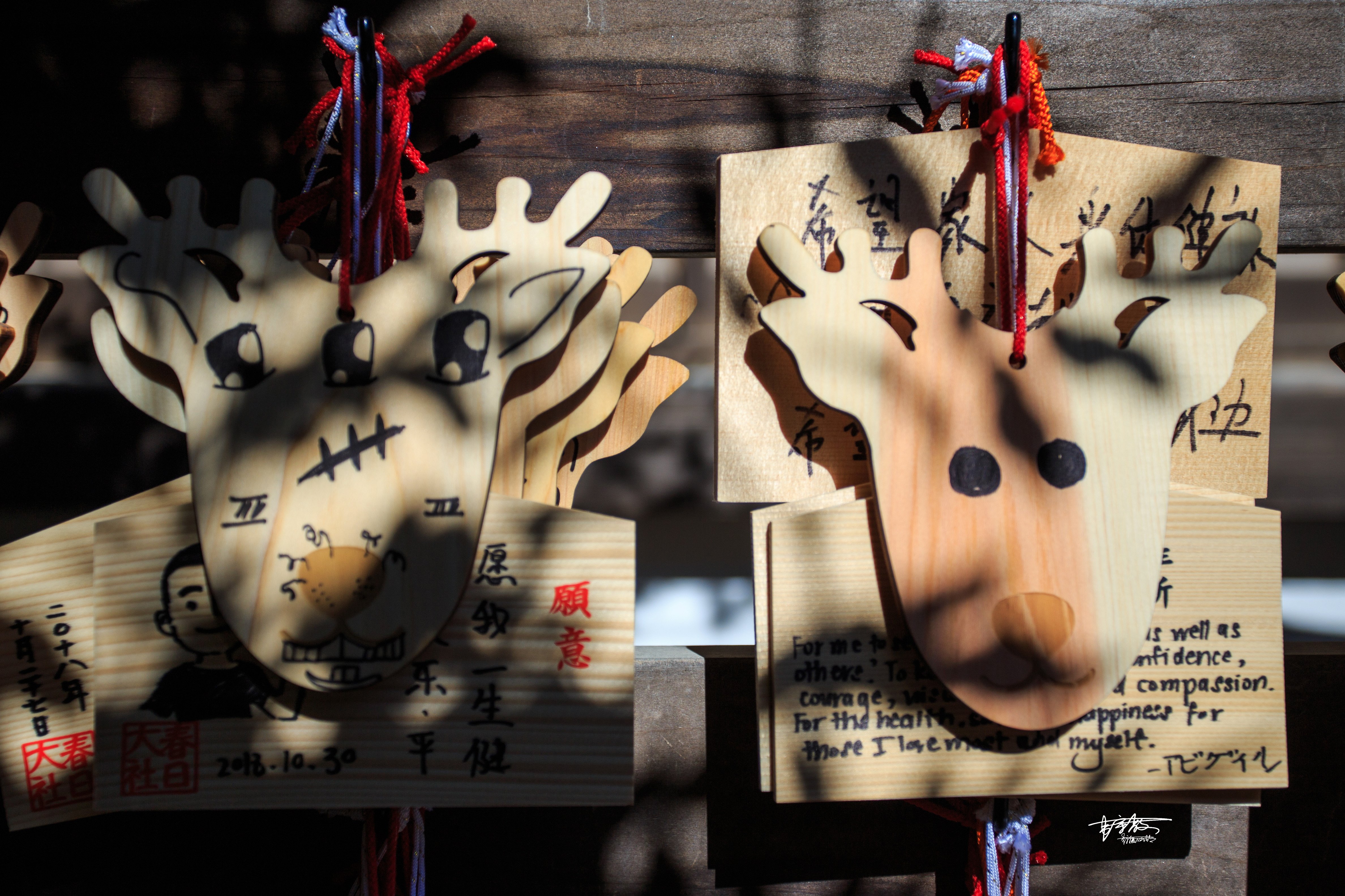 网红打卡景点奈良,日本奈良10大网红打卡景点