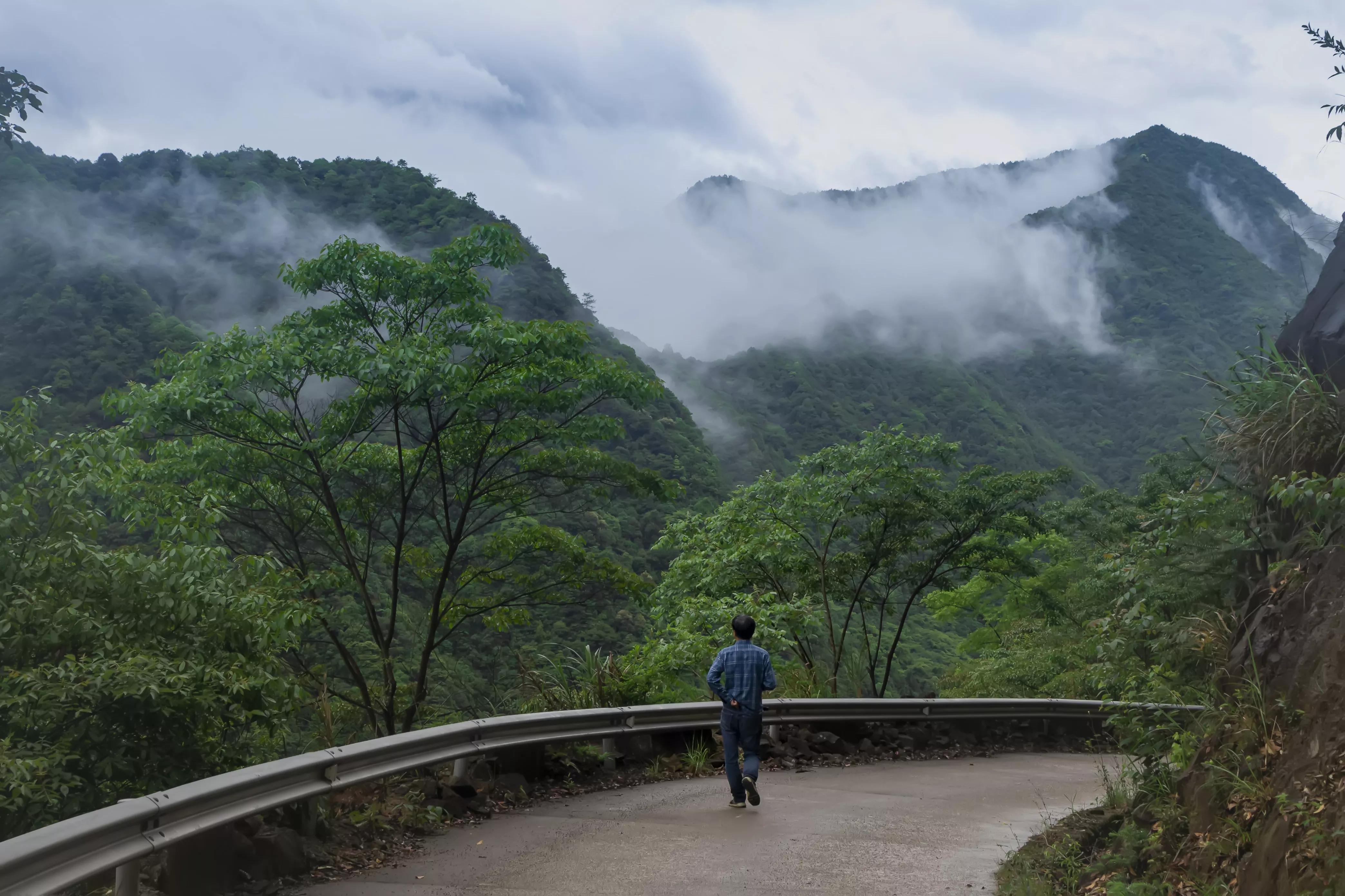 丽水遂昌深山秘境,遂昌姚岭山路