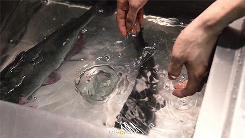 娴疯竟鐧借壊娲炵┐椁愬巺,娴锋哗娲炵┐椁愬巺